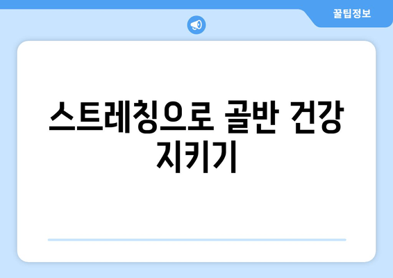 골반 교정, 증상과 도움되는 자세 | 통증 완화, 바른 자세, 운동, 스트레칭