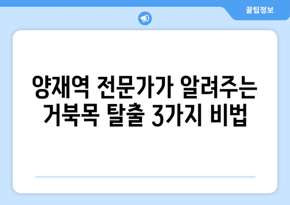 양재역 거북목 자세 교정 전문가에게 배우는 3가지 해결 솔루션 | 거북목, 목 통증, 자세 교정, 양재역