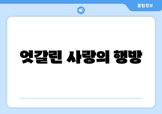 엇갈린 사랑의 행방