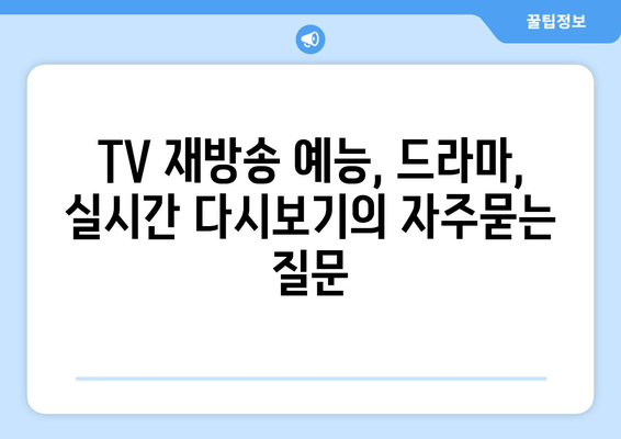 TV 재방송 예능, 드라마, 실시간 다시보기