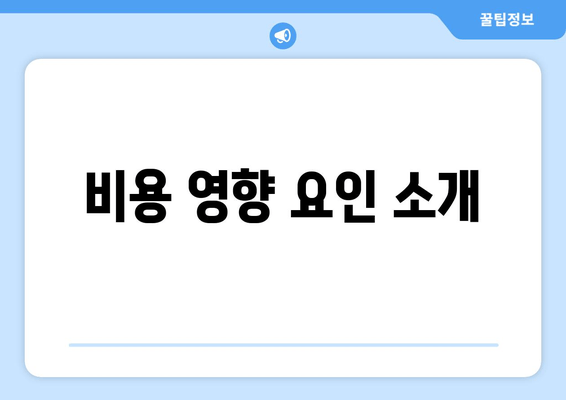 비용 영향 요인 소개