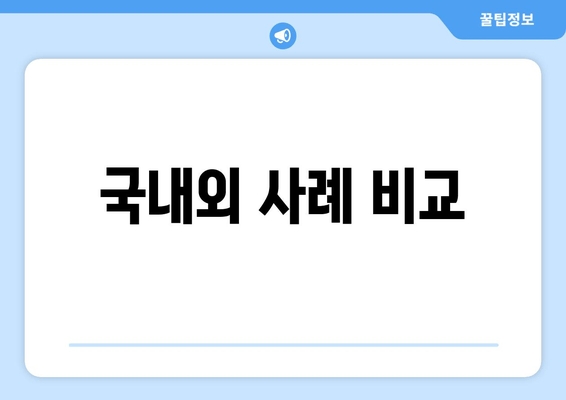 국내외 사례 비교