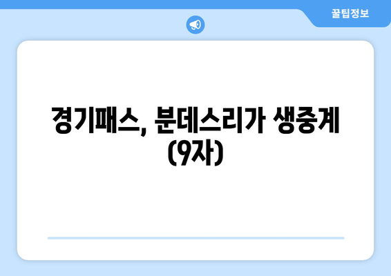 경기패스, 분데스리가 생중계 (9자)