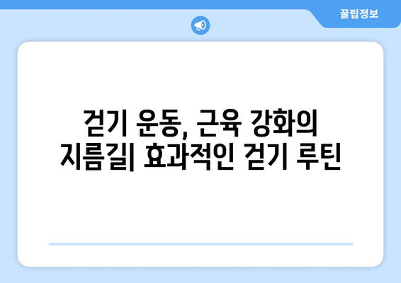 걷기 종류별 근육 발달 효과 비교| 당신에게 맞는 걷기는? | 걷기 운동, 근육 강화, 체중 감량, 건강 팁