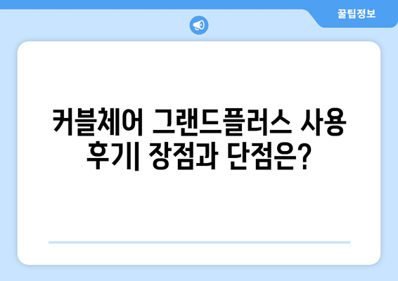 커블체어 그랜드플러스, 자세 교정 효과와 특징 비교 분석 |  장점, 단점, 사용 후기