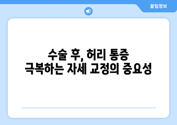 허리 디스크 수술 후, 건강한 삶으로! 필수 자세 교정 가이드 | 허리 통증, 재활, 운동, 자세