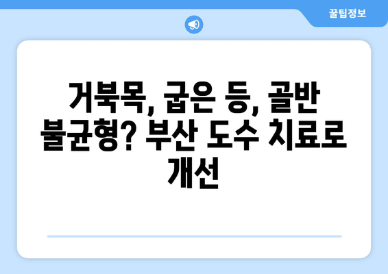 부산 자세 교정, 도수 치료로 바로잡기 | 척추, 거북목, 골반, 통증 해결