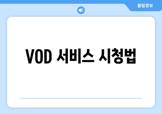 VOD 서비스 시청법