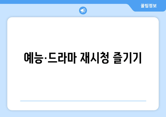 예능·드라마 재시청 즐기기