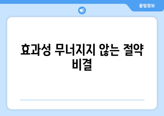 효과성 무너지지 않는 절약 비결