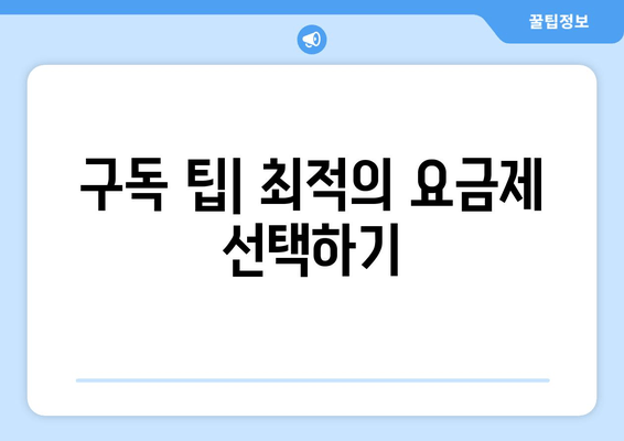 구독 팁| 최적의 요금제 선택하기