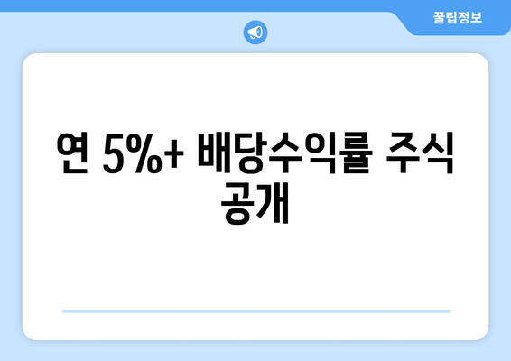 연 5%+ 배당수익률 주식 공개