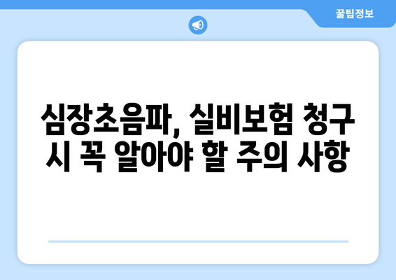 심장초음파, 실비보험 적용 가능한 경우는? | 건강보험, 보장 범위, 주의 사항