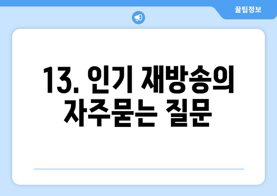 13. 인기 재방송