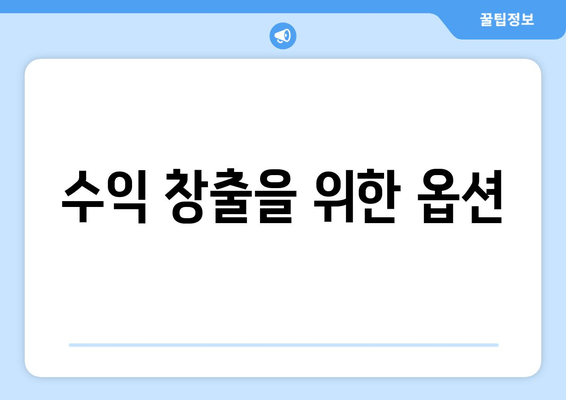 수익 창출을 위한 옵션