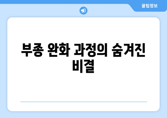 부종 완화 과정의 숨겨진 비결