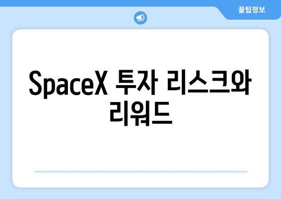 SpaceX 투자 리스크와 리워드