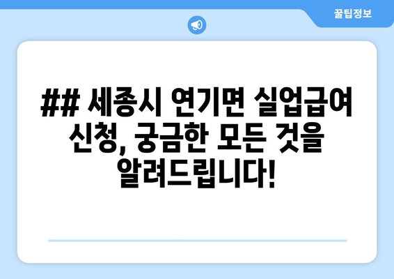 ## 세종시 연기면 실업급여 신청, 궁금한 모든 것을 알려드립니다!