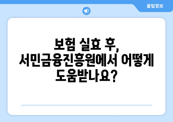 보험 실효 후 서민금융진흥원 이관 처리 및 해제| 상세 가이드 | 보험 해지, 채무 탕감, 금융 지원