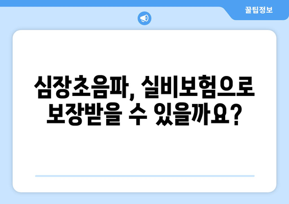 심장초음파, 실비보험 적용 가능한 경우는? | 건강보험, 보장 범위, 주의 사항