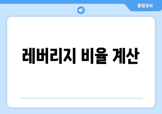 레버리지 비율 계산