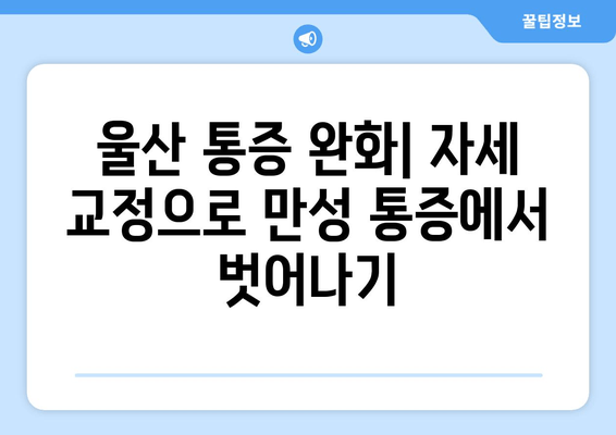 울산 지역 자세 교정 & 몸상태 개선| 나에게 맞는 전문가 찾기 | 울산, 자세 교정, 체형 관리, 통증 완화, 건강 팁