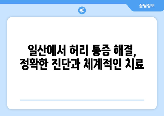 일산 허리통증, 자세 교정과 재활로 다시 건강하게! | 허리 통증 치료, 재활 운동, 일산 정형외과