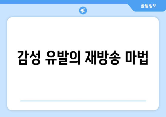 감성 유발의 재방송 마법