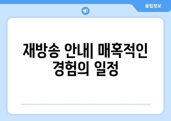 재방송 안내| 매혹적인 경험의 일정