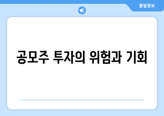 공모주 투자의 위험과 기회