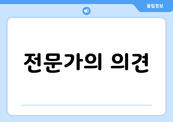 전문가의 의견