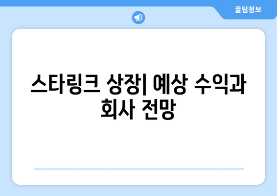 스타링크 상장| 예상 수익과 회사 전망