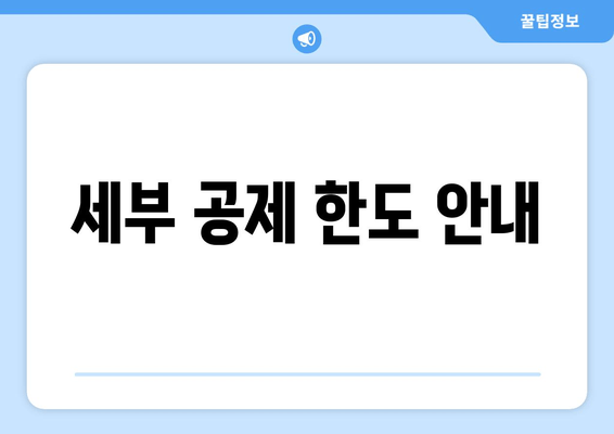 세부 공제 한도 안내