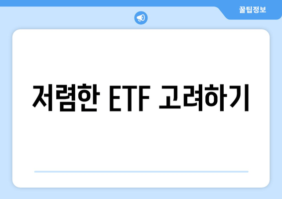 저렴한 ETF 고려하기