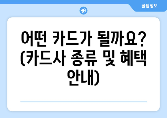 어떤 카드가 될까요? (카드사 종류 및 혜택 안내)