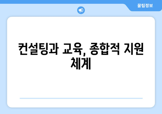 컨설팅과 교육, 종합적 지원 체계