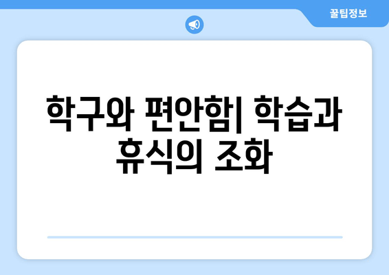 학구와 편안함| 학습과 휴식의 조화