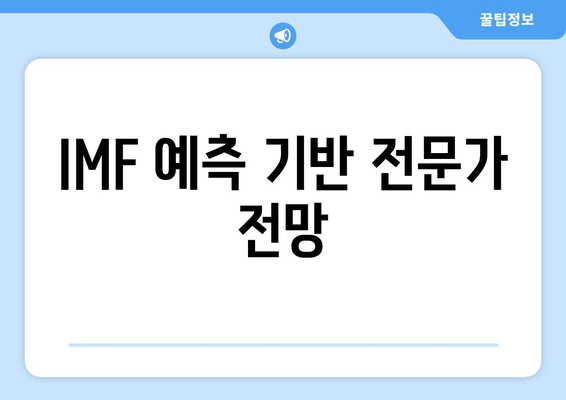 IMF 예측 기반 전문가 전망