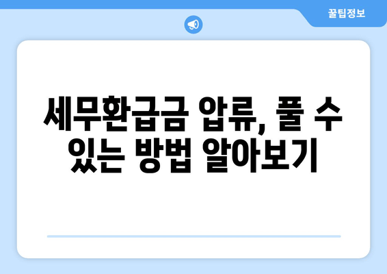 세무환급금 압류 해제, 이렇게 해결하세요! | 압류 해제 절차, 필요 서류, 주의 사항