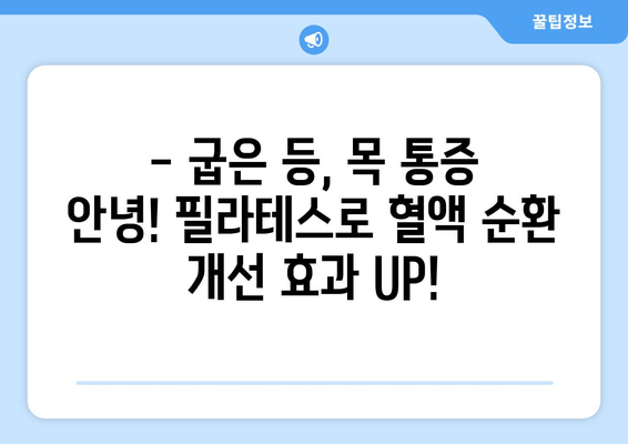 대치동 필라테스, 자세 교정으로 혈액 순환 개선 효과 UP! | 필라테스 후기, 자세 교정, 혈액 순환