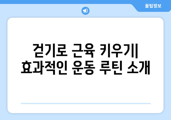 걷기 유형별 근육 발달 가이드| 어떤 걷기가 당신의 목표에 최적일까? | 근육 성장, 걷기 운동, 운동 루틴