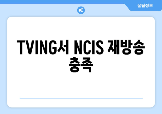 TVING서 NCIS 재방송 충족