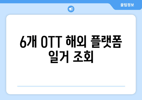 6개 OTT 해외 플랫폼 일거 조회