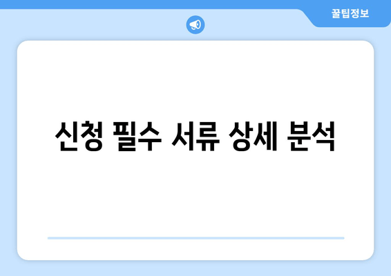 신청 필수 서류 상세 분석