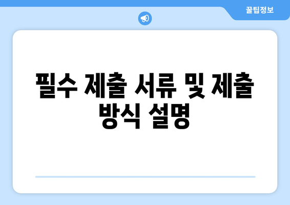 필수 제출 서류 및 제출 방식 설명