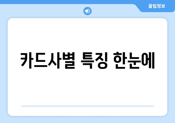 카드사별 특징 한눈에