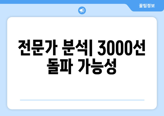 전문가 분석| 3000선 돌파 가능성