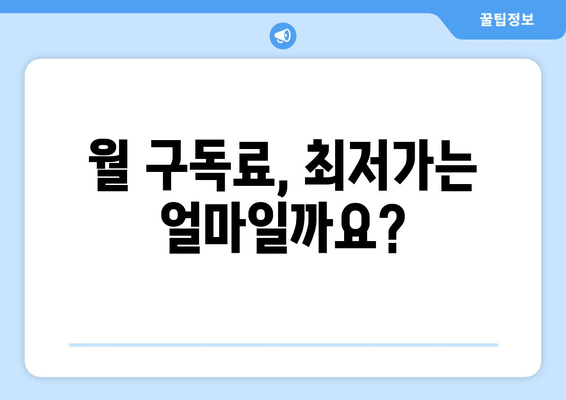 월 구독료, 최저가는 얼마일까요?