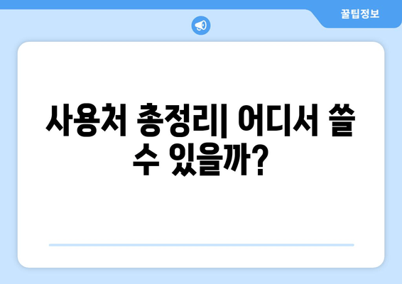 사용처 총정리| 어디서 쓸 수 있을까?