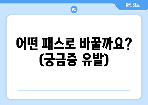 어떤 패스로 바꿀까요? (궁금증 유발)